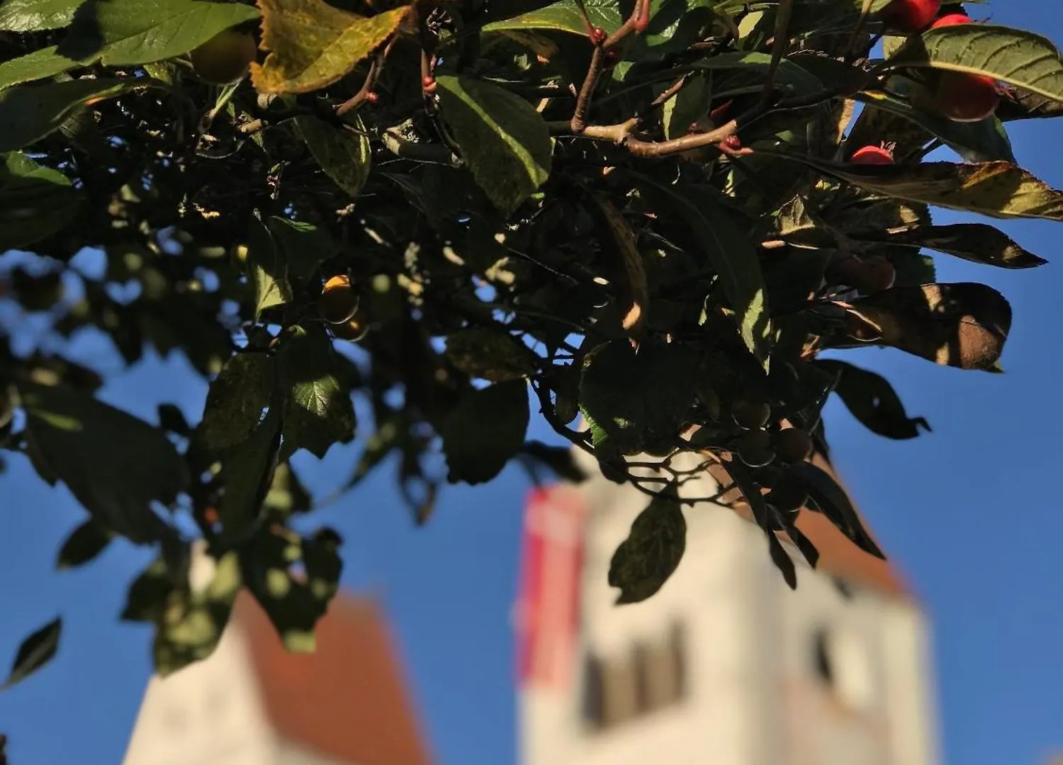 Privat Pension An Der Klosterpforte Steingaden Guest house